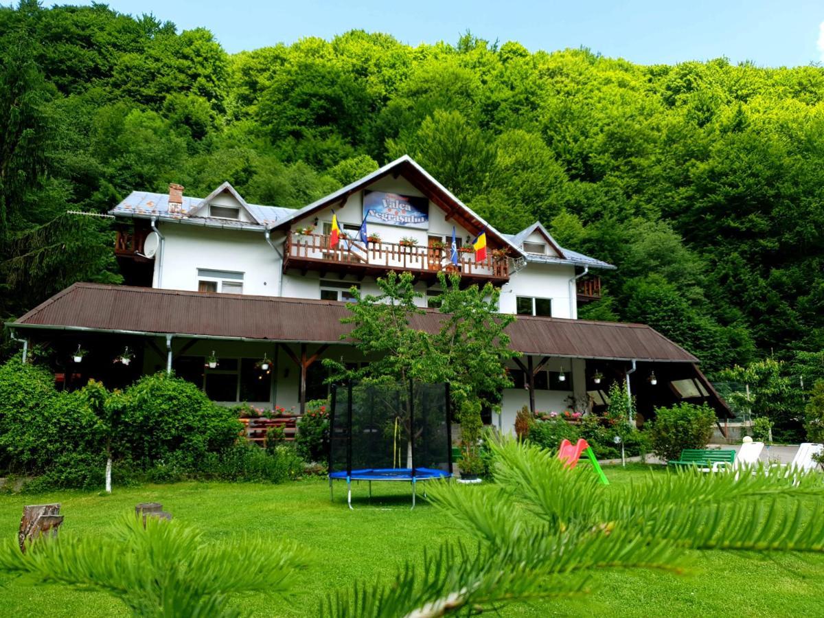Pensiunea Valea Negrasului Traisteni Exterior photo
