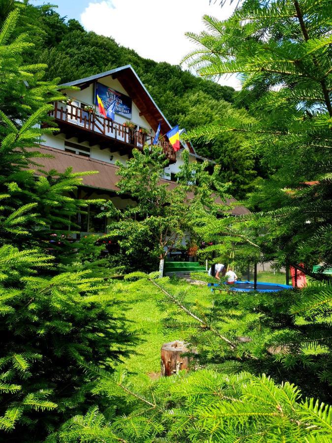 Pensiunea Valea Negrasului Traisteni Exterior photo