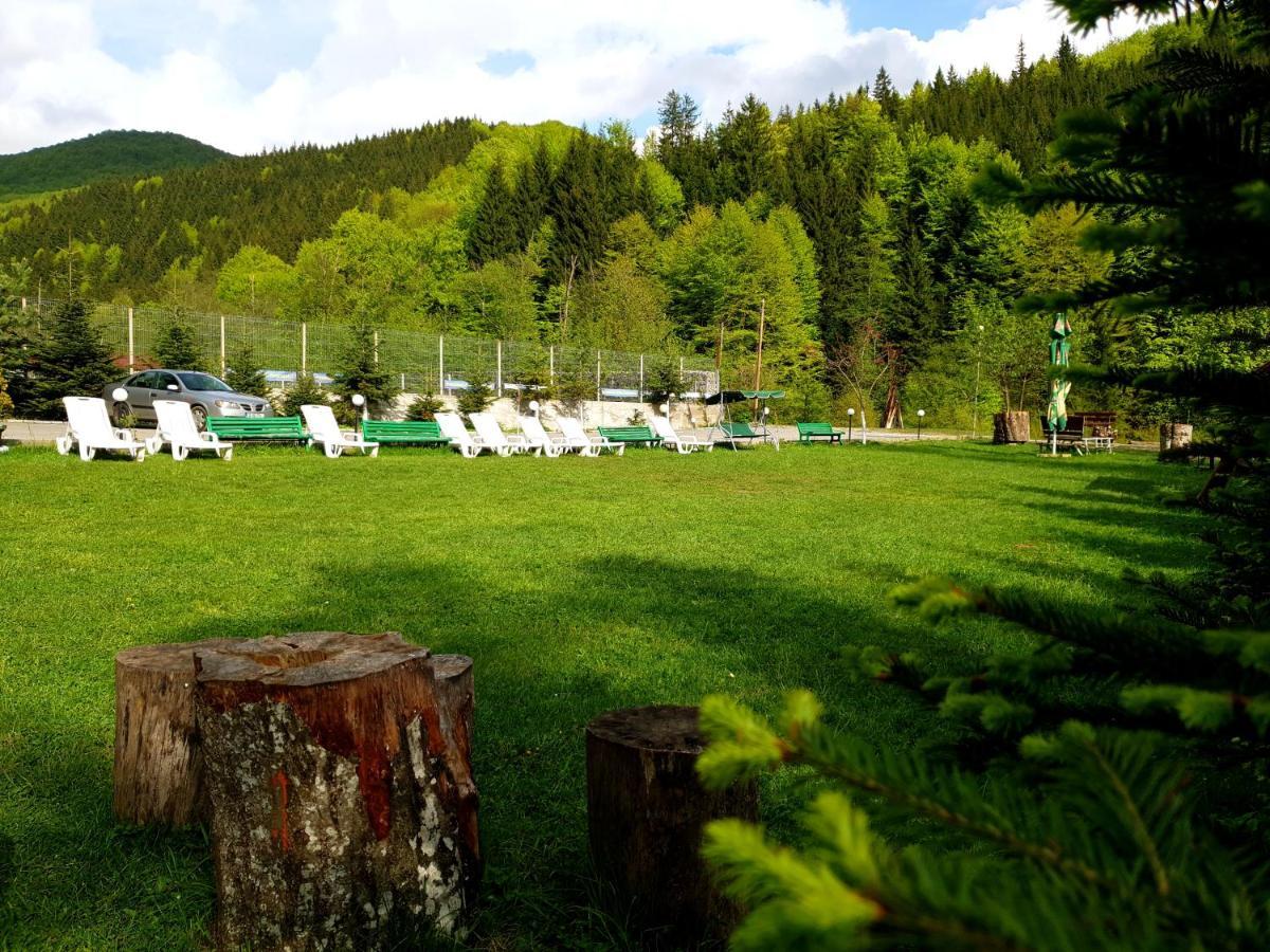 Pensiunea Valea Negrasului Traisteni Exterior photo