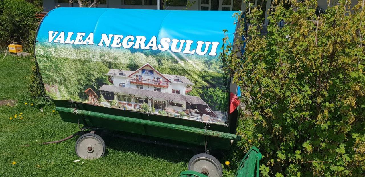 Pensiunea Valea Negrasului Traisteni Exterior photo
