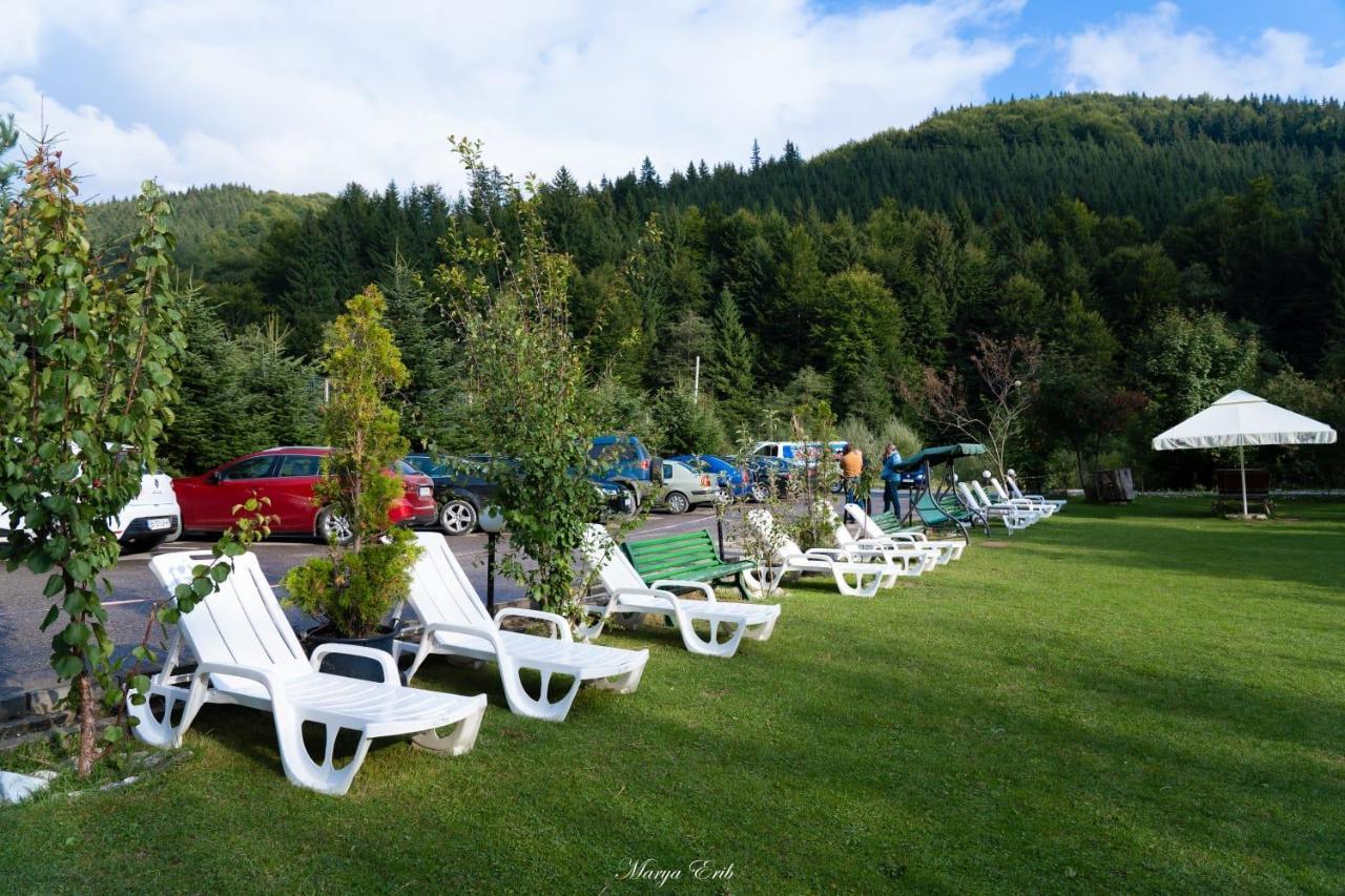 Pensiunea Valea Negrasului Traisteni Exterior photo