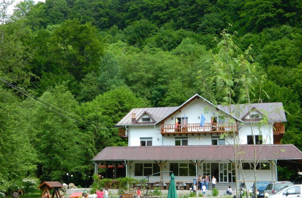 Pensiunea Valea Negrasului Traisteni Exterior photo